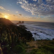Punta de Lobos. Een project van Fotografie van Luisa Vergara - 30.11.2023
