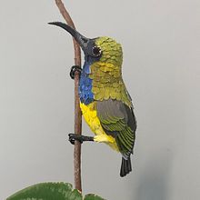 My project for course: Advanced Papercraft Techniques: Designing with Paper. Design, Traditional illustration, Arts, Crafts, Sculpture, and Paper Craft project by Jess Stapleton - 11.29.2023