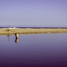 violeta ∞. Fotografia, Direção de arte, e Artes plásticas projeto de Pamela Paternina - 02.12.2023