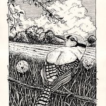 My project for course: Dip Pen and Ink Illustration: Capturing The Natural World. Un progetto di Bozzetti, Disegno, Disegno artistico, Illustrazione con inchiostro e Illustrazione naturalistica di Davide Santarsiere - 03.12.2023