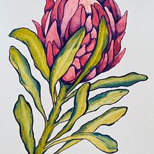 My project for course: Botanical Illustration with Watercolors. Projekt z dziedziny Trad, c, jna ilustracja,  Sztuki piękne,  Malarstwo,  R, sunek, Malowanie akwarelą, R i sunek botaniczn użytkownika Alice Chal - 03.12.2023