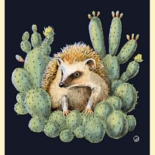 DIBUJO Y CREACION DE UN ERIZO EN UNA CHUMBERA.  . Ilustrație tradițională, Desen, Ilustrație digitală, Desen realist, Pictură digitală & Ilustrație naturalistă de OSLAGUNA RT - 12.03.2023