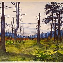 My project for course: Dreamy Watercolor Landscapes: Paint with Light. Painting, and Watercolor Painting project by aleksandrat - 12.03.2023