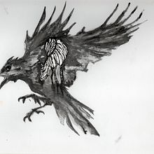 Mon projet du cours :   Dessin réaliste : observez le monde qui vous entoure. Design, Ilustração tradicional, Artes plásticas, Esboçado, Desenho a lápis, e Desenho realista projeto de Johanne Kirouac - 04.12.2023