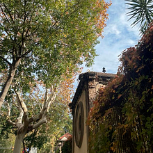 Fotos Universitat de Barcelona Ein Projekt aus dem Bereich Fotografie von Pau Forte - 05.12.2023