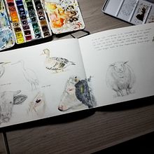 My project for course: Illustrated Travel Sketchbook: Recording Nature. Pencil Drawing, Drawing, Watercolor Painting, Naturalistic Illustration, and Sketchbook project by Ivonne Wierink - 12.05.2023