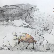 Hoedje op en hoedje af en jij plukt een bloem. Un progetto di Scrittura e Illustrazione infantile di Clasien de l'Ecluse - 05.12.2023