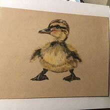 Birds Bend Oregon. Traditional illustration project by marylroberts - 12.06.2023