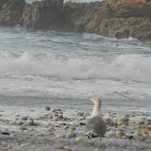 Mi proyecto del curso: Fotografía para principiantes: descubre tu cámara digital. Un projet de Photographie, Photographie numérique , et Composition photographique de Nacho Ramiro Sendin - 07.12.2023
