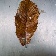 Présentation. Fotografia projeto de flaviasistiaga - 07.12.2023