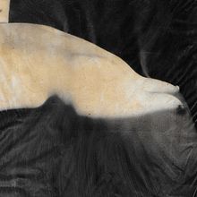 Photographie végétale. Fotografia projeto de flaviasistiaga - 07.12.2023