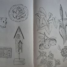 Dibujo y observación. Design e Ilustração tradicional projeto de araneda.garcia.l - 07.12.2023