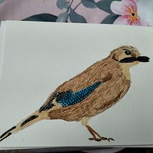 Geai des chênes . Pintura em aquarela e Ilustração naturalista projeto de ophelievictor - 09.12.2023