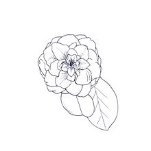Dibujos naturales. Un proyecto de Ilustración tradicional de agustin_santibanez - 10.12.2023
