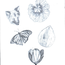  5 dibujos de objetos + 5 dibujos de elementos naturales. Design, and Traditional illustration project by pauhaus - 12.11.2023