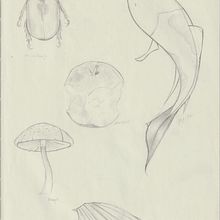 sketchbook. Projekt z dziedziny Projektowanie graficzne, Trad, c i jna ilustracja użytkownika Valentina Sandoval - 11.12.2023