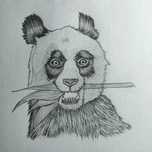 Mi proyecto del curso: Dibujo naturalista de animales con grafito. Traditional illustration, Pencil Drawing, Drawing, and Naturalistic Illustration project by Juan Sebastián Gutierrez Torres - 12.11.2023