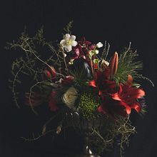barok. Un progetto di Design floreale e vegetale di Lisa Janssen - 13.12.2023