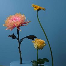 Give me some retro. Un progetto di Design floreale e vegetale di Lisa Janssen - 13.12.2023