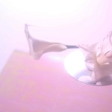 Pink eclips. Un progetto di Design floreale e vegetale di Lisa Janssen - 13.12.2023