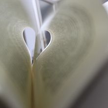 My project for course: Beginner’s Photography: Basic Camera Use and Theory. Een project van Fotografie, Digitale fotografie y Fotografische compositie van Milica Petrović - 14.12.2023