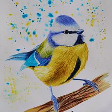 My project for course: Artistic Watercolor Techniques for Illustrating Birds. Un proyecto de Ilustración tradicional, Pintura a la acuarela, Dibujo realista e Ilustración naturalista				 de Dorottya Molnár - 14.12.2023