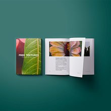 Proyecto editorial sobre fotografía. Un proyecto de Diseño, Fotografía y Diseño editorial de Camila Moliner - 14.12.2023