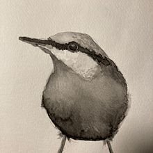 My project for course: Artistic Watercolor Techniques for Illustrating Birds. Un projet de Aquarelle , et Carnet de croquis de sis - 14.12.2023