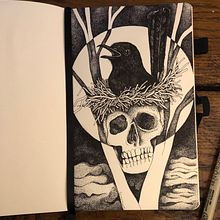 My project for course: Realistic Illustration of Birds with Imaginative Elements. Pencil Drawing, Drawing, Ink Illustration, and Naturalistic Illustration project by Natalia Turkiewicz - 12.17.2023