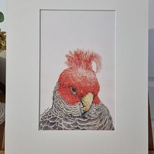 My project for course: Dip Pen and Ink Illustration: Capturing The Natural World. Un progetto di Disegno, Disegno artistico, Sketchbook, Illustrazione naturalistica, Bozzetti e Illustrazione con inchiostro di judy_kahl - 17.12.2023