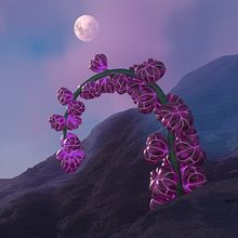 My project for course: 3D Animation: Create a Plant Scene in Cinema 4D. Motion Graphics, 3D, Animation, Art Direction, 3D Animation, and 3D Modeling project by Lena Shaposhnikova - 12.17.2023