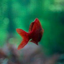 COSMO CAIXA. Un projet de Photographie, Photographie numérique , et Photographie extérieure de Mariona Schergna - 18.12.2023