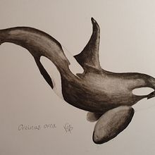 My project for course: Naturalist Illustration Techniques: Whales in Watercolor. Projekt z dziedziny  Sztuki piękne,  Malarstwo, Malowanie akwarelą, Ilustracja naturalist i czna użytkownika Kate P - 13.12.2023
