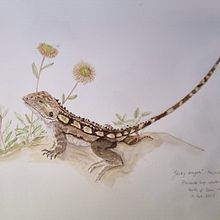 My project for course: Illustrated Travel Sketchbook: Recording Nature. Pencil Drawing, Drawing, Watercolor Painting, Sketchbook, and Naturalistic Illustration project by Wendy Allison - 12.21.2023