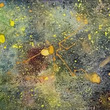 Mi proyecto del curso: Técnicas modernas de acuarela. Un projet de Illustration traditionnelle, Beaux Arts, Peinture , et Aquarelle de Laia Medina Heras - 21.12.2023