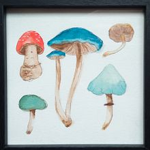 Mi proyecto del curso: Ilustración de elementos naturales en acuarela. Projekt z dziedziny Trad, c, jna ilustracja, Malowanie akwarelą, Ilustracja naturalist i czna użytkownika Beatriz Pérez Peiró - 21.12.2023