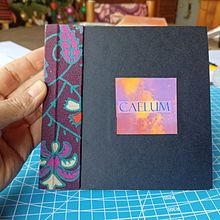 Caelum: libro de fotografías. Un proyecto de Artesanía, Bellas Artes, Encuadernación y DIY de Radha - 22.12.2023