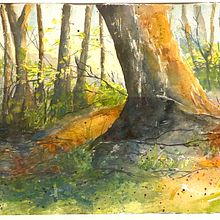 My project for course: Painting Realistic Watercolor Landscapes. Projekt z dziedziny  Sztuki piękne,  Malarstwo, Sketching, Malowanie akwarelą, Ilustracja naturalist i czna użytkownika s57zj6nhjc - 24.12.2023