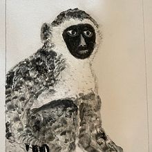 Animal Illustration charcoal. Projekt z dziedziny  R i sunek użytkownika deanne117 - 25.12.2023