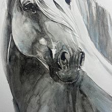 Mon projet du cours : Portraits expressifs d'animaux à l'aquarelle. Traditional illustration, Watercolor Painting, Realistic Drawing, and Naturalistic Illustration project by Marie-Laurence Marchetto - 12.25.2023