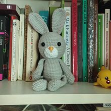 Meu projeto do curso: Amigurumi de animais com crochê. To, Design, Fiber Arts, DIY, Crochet, Amigurumi, and Textile Design project by Silvia A. Falqueto - 12.26.2023