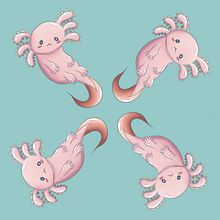 Axolotls. Projekt z dziedziny R, sunek c, frow, Ilustracja c i frowa użytkownika Andrea White - 09.09.2023