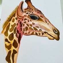My project for course: Watercolor Illustration: Painting Realistic Wildlife. Projekt z dziedziny  Sztuki piękne,  Malarstwo, Malowanie akwarelą, Ilustracja naturalist i czna użytkownika Alice Chal - 28.12.2023
