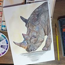 My project for course: Watercolor Illustration: Painting Realistic Wildlife. Projekt z dziedziny Malowanie akwarelą, Ilustracja naturalist i czna użytkownika Elaine Leff - 29.12.2023