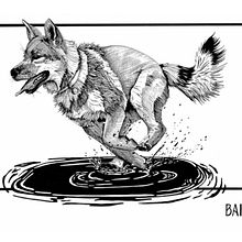 Freedom. Un projet de Illustration à l'encre de Giorgia Migli - 30.12.2023