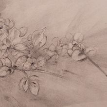 Mein Abschlussprojekt für den Kurs: Ausdrucksstarkes Zeichnen mit Holzkohle Ein Projekt aus dem Bereich Bildende Künste, Zeichnung, Porträtzeichnung und Naturalistische Illustration von Esther Keller - 31.12.2023