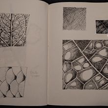 Mon projet du cours : Illustration surréaliste au feutre fin. Projekt z dziedziny Trad, c, jna ilustracja, R, sunek ołówkiem,  R, sunek, R, sunek realist, czn,  R, sunek art, st, czn,  R i sunek atramentem użytkownika Amandine Rinsoz - 01.01.2024