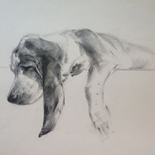 My project for course: Expressive Drawing with Charcoal . Arte plastice, Desen, Desen de portret & Ilustrație naturalistă de Nataliya Dubikova - 01.01.2024