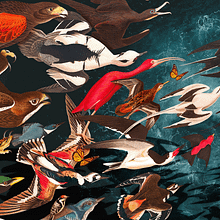 Preemptive Love Vol. 8 Ein Projekt aus dem Bereich Collage und Editorial Illustration von Guillermo Flores - 02.01.2024