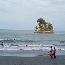 filigrana de fauna y flora del pacifico. Jewelr, and Design project by Andrés Gaitán Torres - 12.22.2023